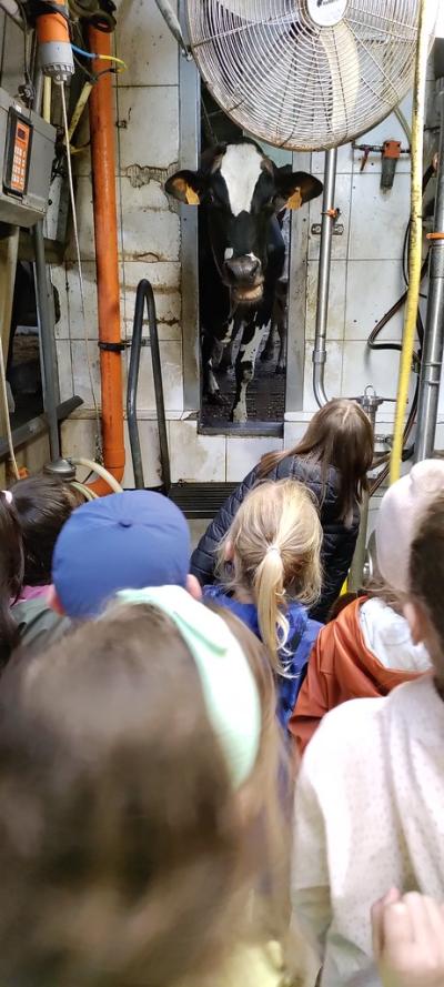 L1 Schoolreis naar de koeienboerderij 🐄
