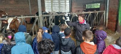 L1 Schoolreis naar de koeienboerderij 🐄